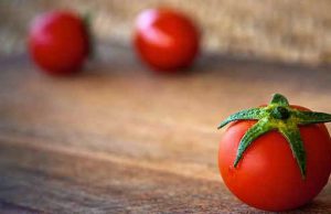 Tomato in kitchen protected by crazylegs pest control