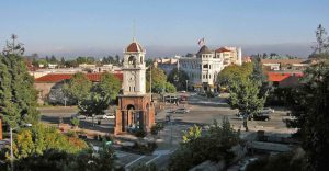 town of santa cruz protected by crazylegs pest control