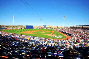 baseball stadium in town of peoria protected by crazylegs pest control