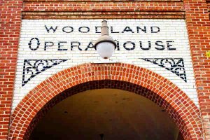 woodland opera house protected by crazylegs pest control