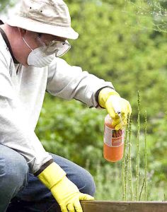 crazylegs pest control exterminator spraying yard