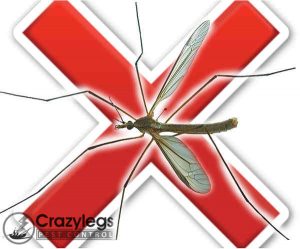 prevent bugs in deltona with crazylegs pest control