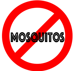 prevent mosquitos in 