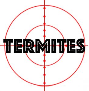 prevent termites in tallaahassee