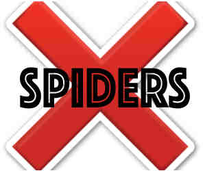 prevent spiders in joliet il with crazylegs pest control