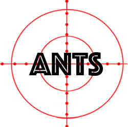 remove ants in kenosha wi with crazylegs pest control