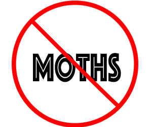 prevent moths in minnetonka mn with crazylegs pest control