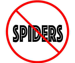 prevent spiders in st cloud mn with crazylegs pest control