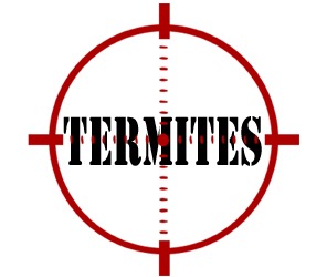prevent termites in akron oh with crazylegs pest control