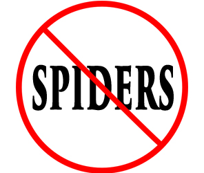 protect your home in bloomington in from spiders with crazylegs pest control