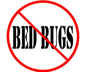 pevent bed bugs in cincinnati oh with crazylegs pest control