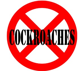 prevent cockroaches in cleveland oh with crazylegs pest control