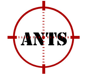 prevent ants in southfield with crazylegs pest control
