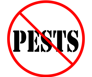 prevent pests in troy with crazylegs pest control