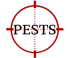 eliminate pests in bridgeport with crazylegs pest control