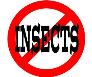 prevent insects in harrissonburg with crazylegs pest control